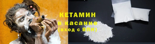 шишки Новодвинск