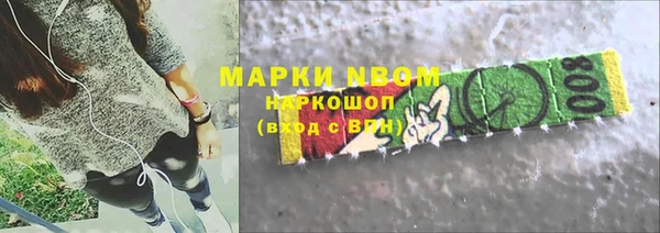 амф Няндома