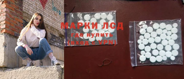 прущие грибы Осташков