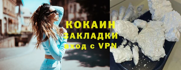 амф Няндома