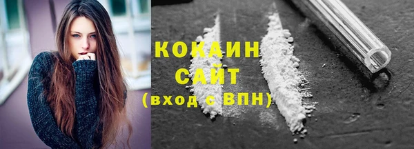 PSILOCYBIN Болхов