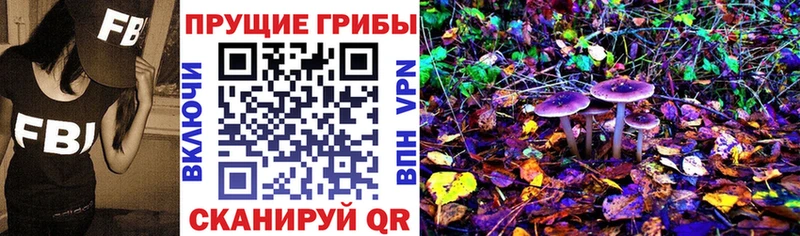 Галлюциногенные грибы мицелий  продажа наркотиков  Луга 