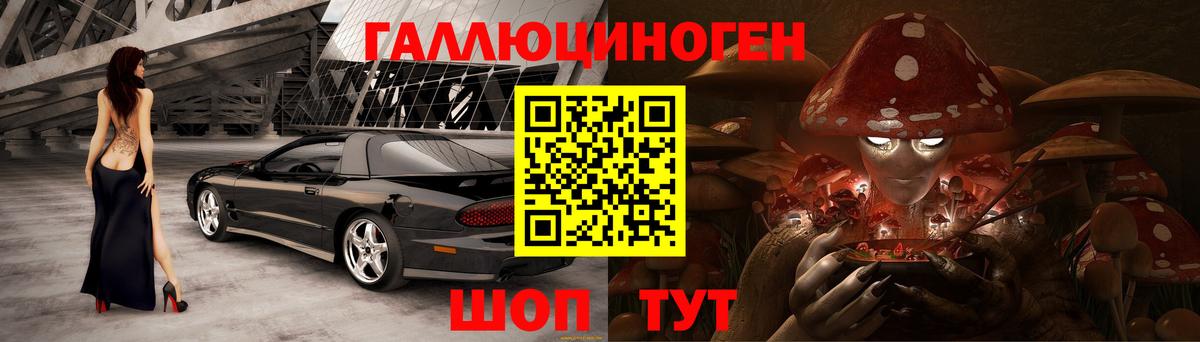 Галлюциногенные грибы Psilocybine cubensis Луга
